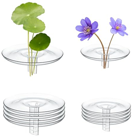 QoTang 10 anillos flotantes para plantas, soporte floral flotante, plástico transparente, redondo, tanque de peces, plantas acuáticas, anillo fijo para flores pequeñas y individuales, plantas