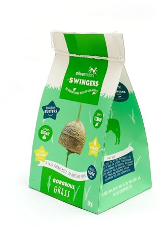 Silvermoor Swingers Forage Block (1kg) (May Vary)