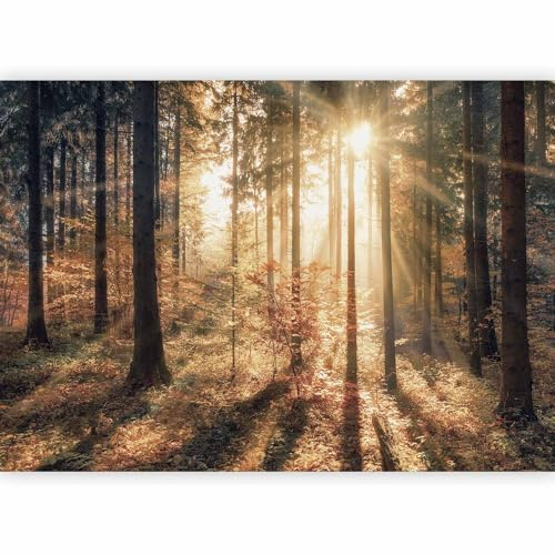 murando - Fototapete Vlies Wald, 350x256 cm, Schlafzimmer, Wohnzimmer | Full HD Druck, 3D-Effekt, lichtbeständige Farben, ideal fürs Wohn- oder Schlafzimmer, schnelle Montage, lichtbeständig, edel