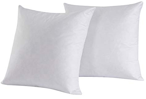 HOMESJUN Set of 2, 95% Feather 5% Down Square Decorative Throw Pillow Insert, Cotton Cover, 16x16 Inch