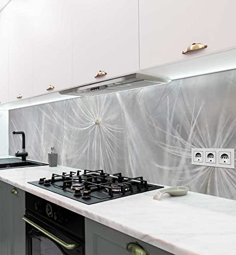 MyMaxxi Küchenrückwand selbstklebend - Matte, 0,4 mm Premium Spritzschutz Folie als günstige Alternative zu Glas, einfache Montage & leichte Reinigung - Motiv: Helle Pusteblumen 400 x 60 cm