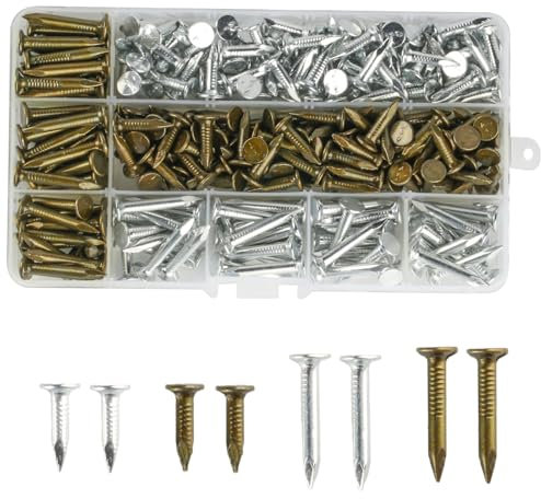 300 chiodi zincati in feltro, resistenti, 20 mm e 30 mm, per tetti di capannoni, tetti in feltro, per fissare il tetto del capanno, in una pratica custodia di plastica