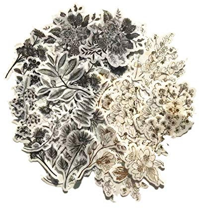 Vintage Zen botany blomma washi klistermärke pack | Artsy naturliga svarta och vita växter med gyllene skissningsdekaler samling (vintage vilda växter grå/gyllene 120 st)