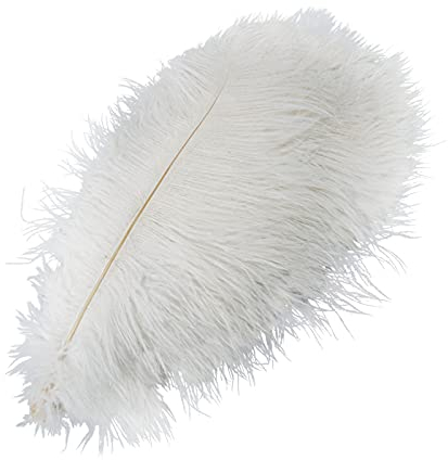 YQYAZL 20 Stück weiße Federn, natürliche Straußenfedern, Dekoration, Basteln, Großpackung, geeignet für Kleidung, Zuhause, Hochzeit, Nähen, Basteln, Party-Dekor/45–50 cm