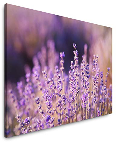 Paul Sinus Art Lavendel Nahaufnahme 60 x 90 cm Inspirierende Fotokunst in Museums-Qualität für Ihr Zuhause als Wandbild auf Leinwand in