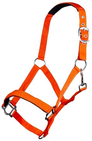 HKM Sydney Style weich unterlegt Halfter, Neon Orange, Shetty