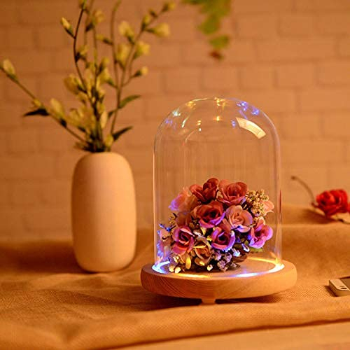 Warmiehomy Glass Cloche Bell Jar Dome with Wood Base + Lights (9x25cm, Clear, Modern Elegant Festive, Christmas, Wedding, Mother’s Day)