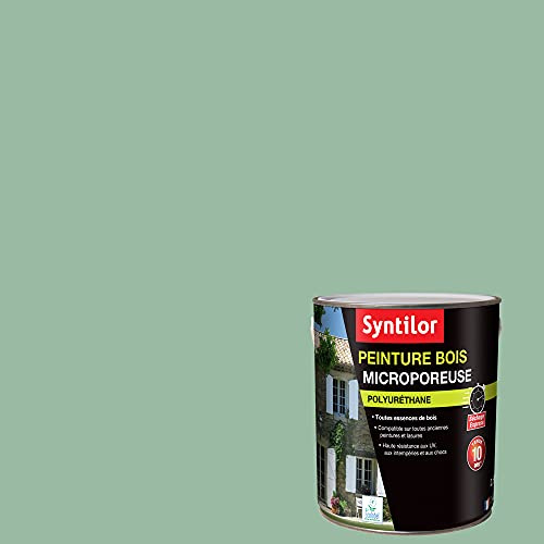 Syntilor - Peinture De Rénovation Multi-Supports Gris Béton Satiné 0,75L