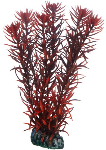 Hobby Plante EUSTERALIS 20 cm 51582