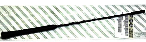 Original Lancia Musa/Ypsilon (843) Antenne M5 Gewinde - 51896048