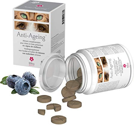 Anti Ageing 60 compresse, Alimento complementare per cane gatto e NAC, Ginseng Gingko Ribes Mirtillo, per Qu ritrova la sua gioventù!