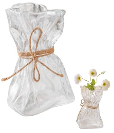 Genomskinligt klar glas vas för modern minimalism och blommar