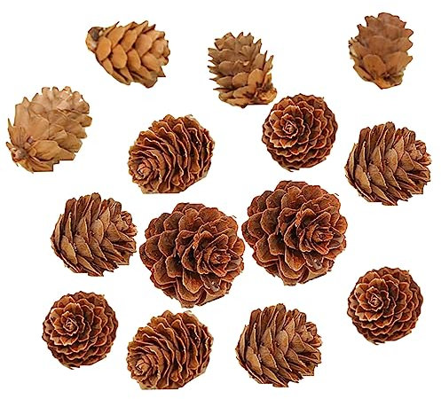 MAGICLULU 210stücke Miniatur-Pine Cones Für Natürliche Weihnachts Und Thanksgiving-Dekorationen Für Tisch Und Wreath-Dekoration Rustikales Für Zuhause