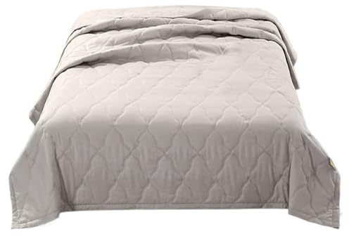 Generico Coperta Rinfrescante per L'estate, 100×150 Cm Coperta Refrigerante Letto, Cooling Blanket Con Dormire Lenitiva Ghiaccio, Leggera a Doppia Faccia Con Fibra Fresca per Chi Dorme Caldo