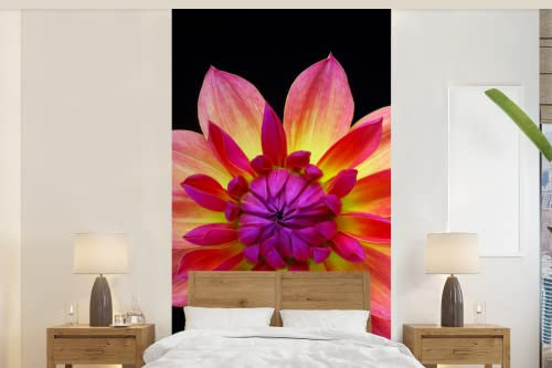 MuchoWow Papier peint Gros plan de la fleur de dahlia multicolore sur un fond noir. Papier peint photo 120x240 cm Papier peint imprimé