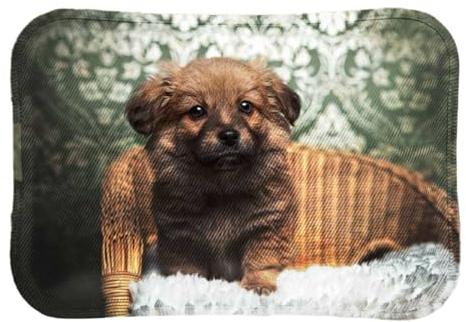 Borsa Acqua Calda Elettrica Ricaricabile 220V 400W – Mantiene Caldo fino a 8 Ore – Ricarica Rapida 15 Min – Design Morbido con Stampa Cane – CE Certificata