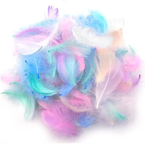 Tomedeks 300 PCS Feathers for crafting, Craft feathers, Pastel feathers, Coloured feathers