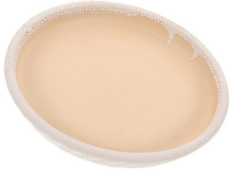 IWOWHERO Soucoupe en Céramique Ronde 20 CM pour Pots de Fleurs D’Intérieur Plateau Récupérateur D’Eau Blanc Perlé Support Stable pour Succulentes et Cactus Facile à Nettoyer Usage