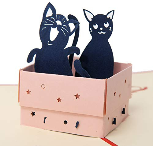 Favour Pop Up® - 3D Glückwunschkarte zum Geburtstag mit fröhlichen dreidimensionalen Katzenmotiven TB016