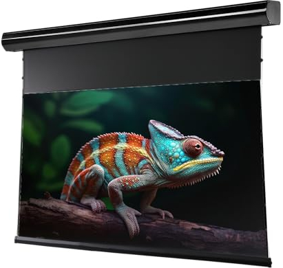 celexon HomeCinema Plus CLR Ultrakurzdistanz-Tension-Motor-Leinwand 100 | 221.4x124.5 cm 16:9 | elektrische 8K, Full-HD Heimkino-Projektions-Leinwand | ausschließlich NUR für Ultrakurzdistanz-Beamer!
