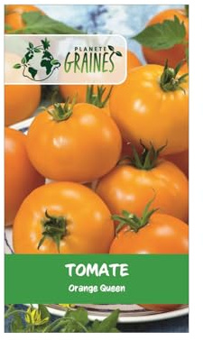 120 Graines de Tomate Ancienne 'Orange Queen' - Gros Fruit Rond Orange, Saveur Douce et Peu Acide, Chair de Bœuf