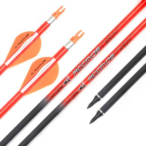PHILOCS 12 Stück Orange Kohlepfeile Spine 300 340 400 500 600 700 800 ID 6,2mm, für Compound Bogen Recurve Bögen Jagd Bogenschießen Praxis