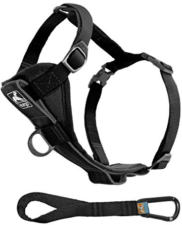 Kurgo TRU-Fit – Intelligentes Hundegeschirr, Trainingsgeschirr, Anti-Zieh-Geschirr inkl. Sicherheitsgurt – Schwarz, S
