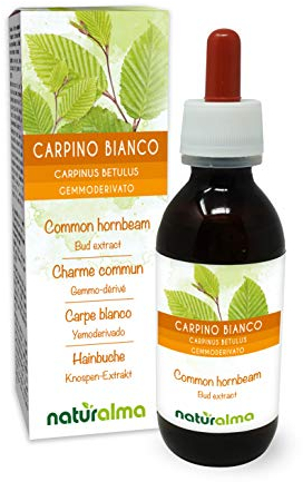 Carpino bianco (Carpinus betulus) Gemmoderivato analcoolico da gemme fresche Naturalma - Estratto liquido gocce 120 ml - Integratore alimentare - Vegano
