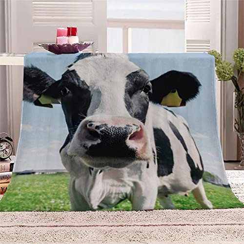 okoikfc Kuscheldecke Flauschig 220x240 cm 3D Kuhtier Decke Fleecedecke - Wohndecke, Sofadecke XXL, Decke Couch Blanket, Kuscheldecke Große, Sofa überwurfdecke