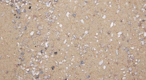 Dihl 4KG Aviary Bird Cage Sand with Oystershell | Calcium & Minerals, Aids Digestive Health and General Well Being, Premium Quality for all Birds
