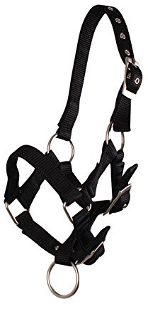 QHP Fohlenhalfter Halfter für Fohlen – Verstellbares Kopfstück für sicheren Halt – Nylon, 4 Größen, 6 Farben