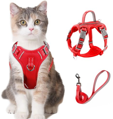 Katzengeschirr und Leine, Set zum Spazierengehen, ausbruchsicher für kleine, große Katzen, Kätzchen, mit Ausweisfach (Rot, XS)