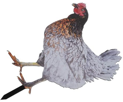 BESPORTBLE Gartenstecker Hühnerfiguren für Dekoration Outdoor Tierfiguren Hahnen-gartendekoration Hühnerdekorationen Zuhause Enten-gartenstecker Hahnenfiguren