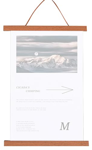 LACHT 1 Pezzo Cornice, 30Cm Stecche Per Poster, Cornice Magnetica, Per Poster, Stampe Artistiche, Tela, Per Casa, Ufficio, Decorazione