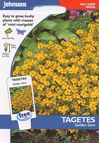 Johnsons Seeds - Pictorial Pack - Flower - Tagetes Golden Gem - 150 Seeds