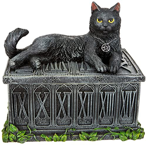 Nemesis Now Fortune's Watcher Tarot Box Unisex Contenitore grigio poliresina