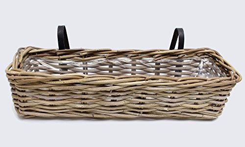 FRANK FLECHTWAREN Balkonpflanzer Rattan, Koboo-Grey, Schwarze Metallbügel, 58x18x14 cm, Mit Folie, Blumenkasten Balkon Terrasse