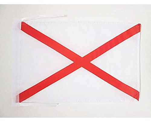 AZ FLAG Flagge St. Patricks kreuz 45x30 cm Polyester 100D Kordeln | Für innen und außen dekorative Flagge doppelte Nähte und verstärkte Kanten mit Schnüre 100D Polyester