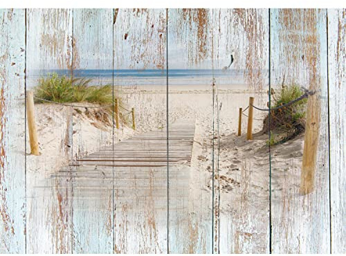 Runa Art Fototapete Strand und Meer Holzoptik Modern Vlies Wohnzimmer Schlafzimmer - Made in Germany - 308 x 220 cm Blau Braun 9111010a