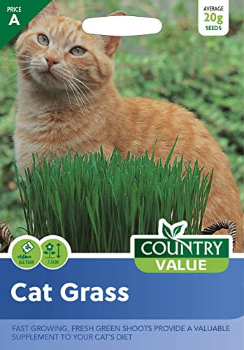 Country Value CAT GRASS Seeds