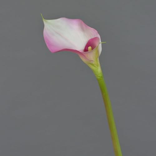 artplants.de Künstliche Calla, doppelter Blüte, real - Touch, rosa - weiß, 80cm - Kunst Calla