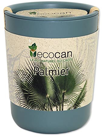 Feel Green Ecocan, Palmier Exotics, Idée Cadeau (100% Biodégradable), Grow-Your-Own/Kit Prêt-à-Pousser, Le Pot Écologique Qui Croît 9 x 7 cm, Produit en Autriche