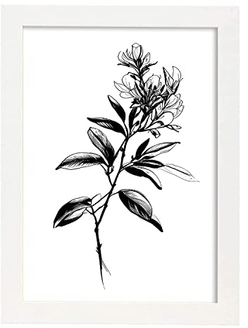 Nacnic Rhododendron Black & White Flower Plant Botanical Poster Illustration Nordic Wall Art Poster Prints for Interior Design and Decoration, Size A3 with White Frames