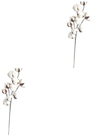 Abaodam 2stücke Köpfe Deko-trockenblumen Aus Baumwolle Einstellbare Kunstblumen Für Hochzeiten Und Raumgestaltung Natürliche Baumwollstämme Für Kreative -projekte Und Arrangements