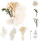 Ramo de flores secas naturales blanco, flores secas para decoración de tartas, flores secas para manualidades con cartón reutilizable, flores secas pequeñas mini para manualidades scrapbooking