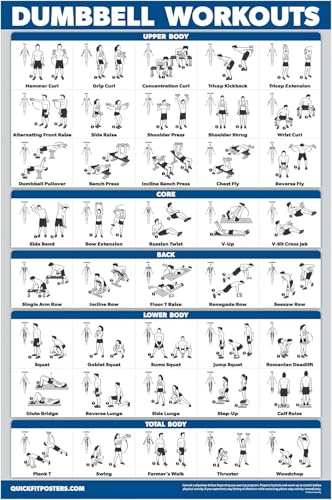 Palace Learning Übungsposter mit Hanteltraining, kostenloser Gewichts-Trainingsanleitung (evtl. nicht in deutscher Sprache), laminiert, 45,7 x 61 cm