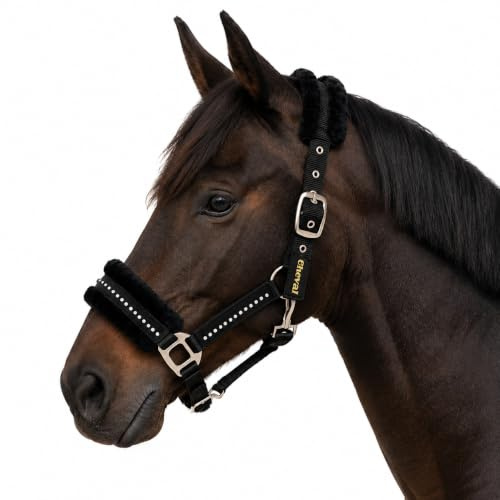 Halfter für Pferde mit Glitzer Steinen, Fell Halfter Pferd in schwarz mit Strass, 2-Fach verstellbar (Schwarz, Shetland Pony (Shetty))