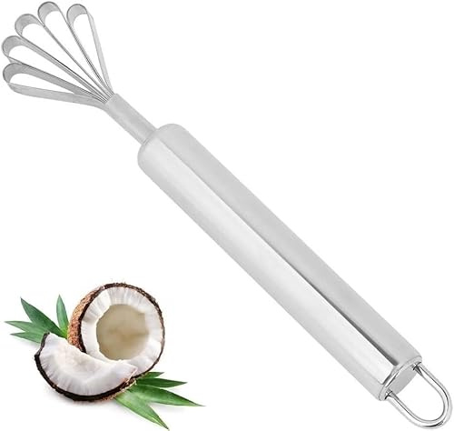 Nikou Kokosnuss Reibe, Edelstahl Kokosnussschaber Haushalt Kokosnuss Fisch Schaber Mehrzweck Kokosnusshobel Zubehör für Küche Geschäft Restaurant