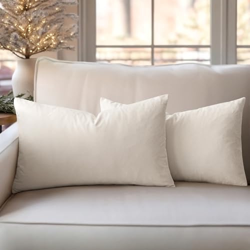 Slozzi 2er Set Samt Kissenbezüge Haushalt Dekokissen Dekorative Kissenhülle Weich Sofakissen für Sofa Schlafzimmer Wohnzimmer 30x50 cm Creme Weiß | Haushalt Dekorative Kissenhülle Weich für Sofa Schlafzimmer Wohnzimmer