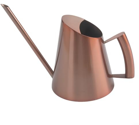 Oniissy Arrosoir à long bec en acier inoxydable pour plantes d'intérieur et d'extérieur - Arrosage précis - Résistant à la rouille - Design moderne - Capacité de 1 L - Pour les amateurs de maison et